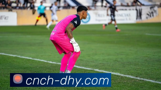 大红鹰官网APP 封面图